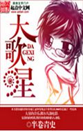 大歌星封面