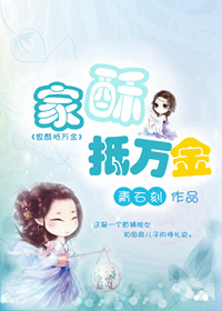 家酥抵万金封面