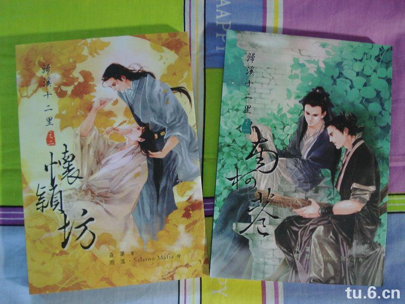 归溪十二里 之 南柯巷封面