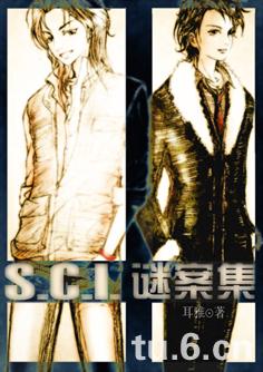 SCI谜案集(全)封面