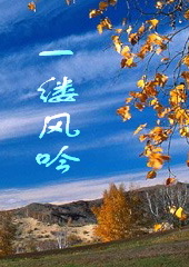 一缕风吟封面