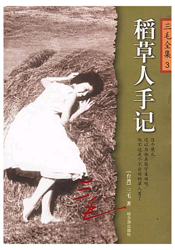 稻草人手记(完结)封面