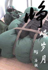 峥嵘岁月封面