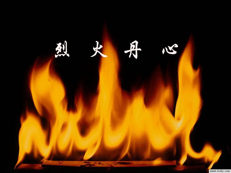 烈火丹心封面