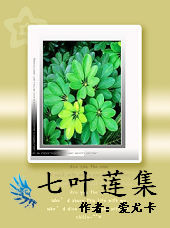 七叶莲集封面