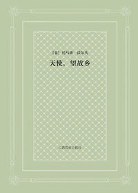 天使,望故乡封面