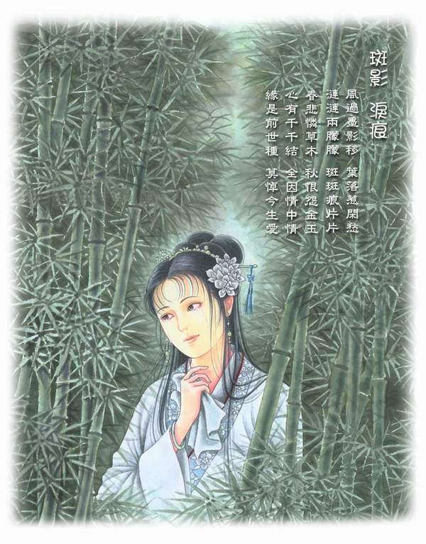 蔷薇看红楼封面