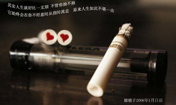 羽落 碎语封面