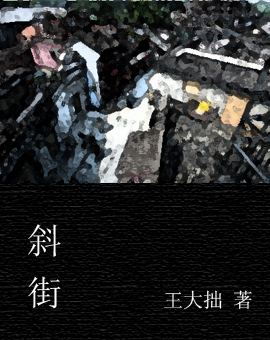 斜街封面