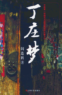 丁庄梦封面
