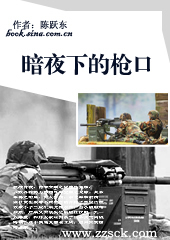 暗夜下的枪口封面