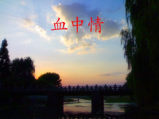 血中情封面