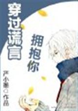穿过谎言拥抱你封面