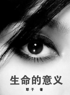 生命的意义封面