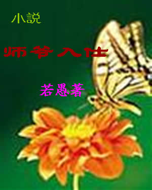 师爷入仕封面