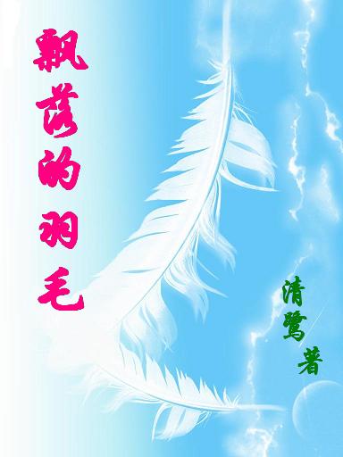 飘落的羽毛封面