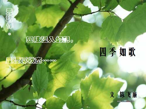 四季如歌封面