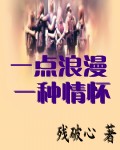 一点浪漫一种情怀封面