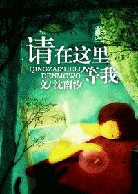 沈南汐-请在这里等我封面