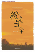 橙色年华封面