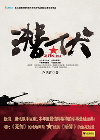 :潜伏封面