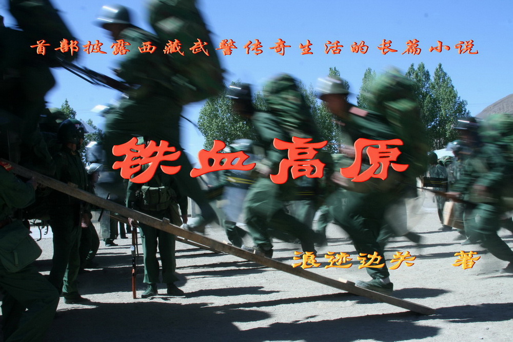 铁血军魂:西藏武警传奇封面