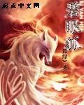 碧眼狐封面