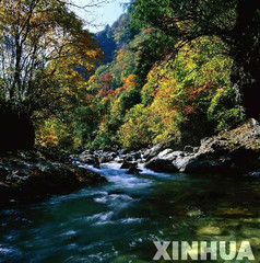 ��ү����