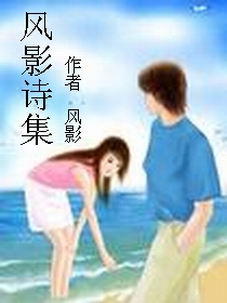 风影诗集封面
