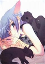 综漫之猫妖的面瘫财迷封面