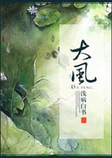 大风封面
