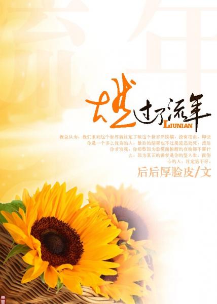 燃过了流年封面