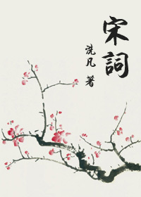 宋词封面