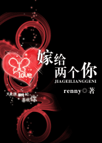 嫁给两个你封面
