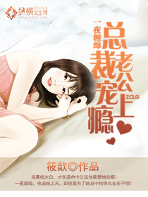 总裁老公宠上瘾封面