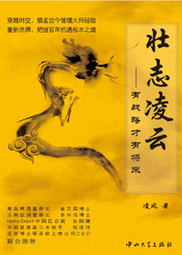 壮志凌云封面