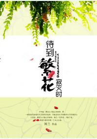 待到繁花寂灭时封面