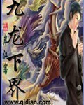 九龙下界封面