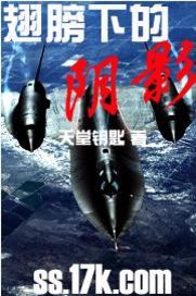 翅膀下的阴影封面
