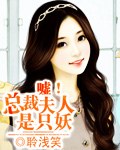 嘘!总裁夫人是只妖封面