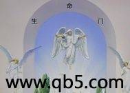 生命门封面