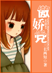 傲娇党封面
