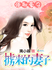 掳来的妻子封面