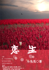 恋生封面
