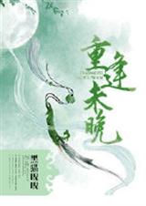 重逢未晚封面