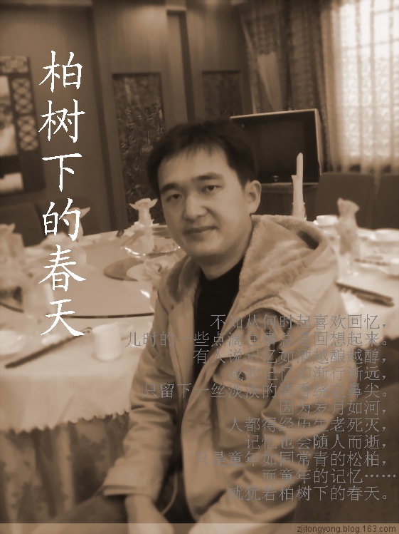 柏树下的春天封面
