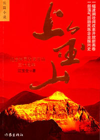 上金山封面