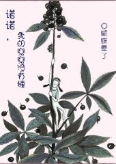诺诺,我的兜兜没有糖封面
