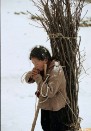哎呀!这人这社会封面