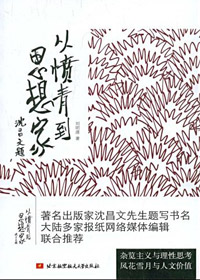 从愤青到思想家封面